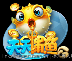 提升真人互动游戏网络连接质量的优化技巧