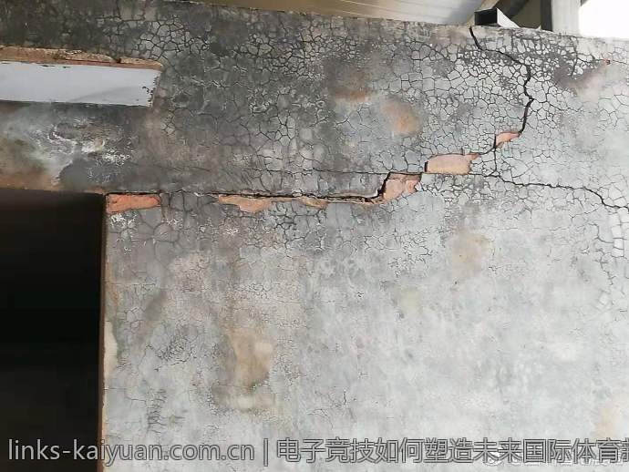 电子竞技如何塑造未来国际体育新格局