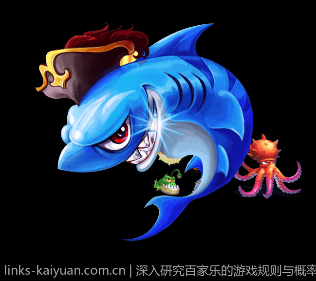 深入研究百家乐的游戏规则与概率统计